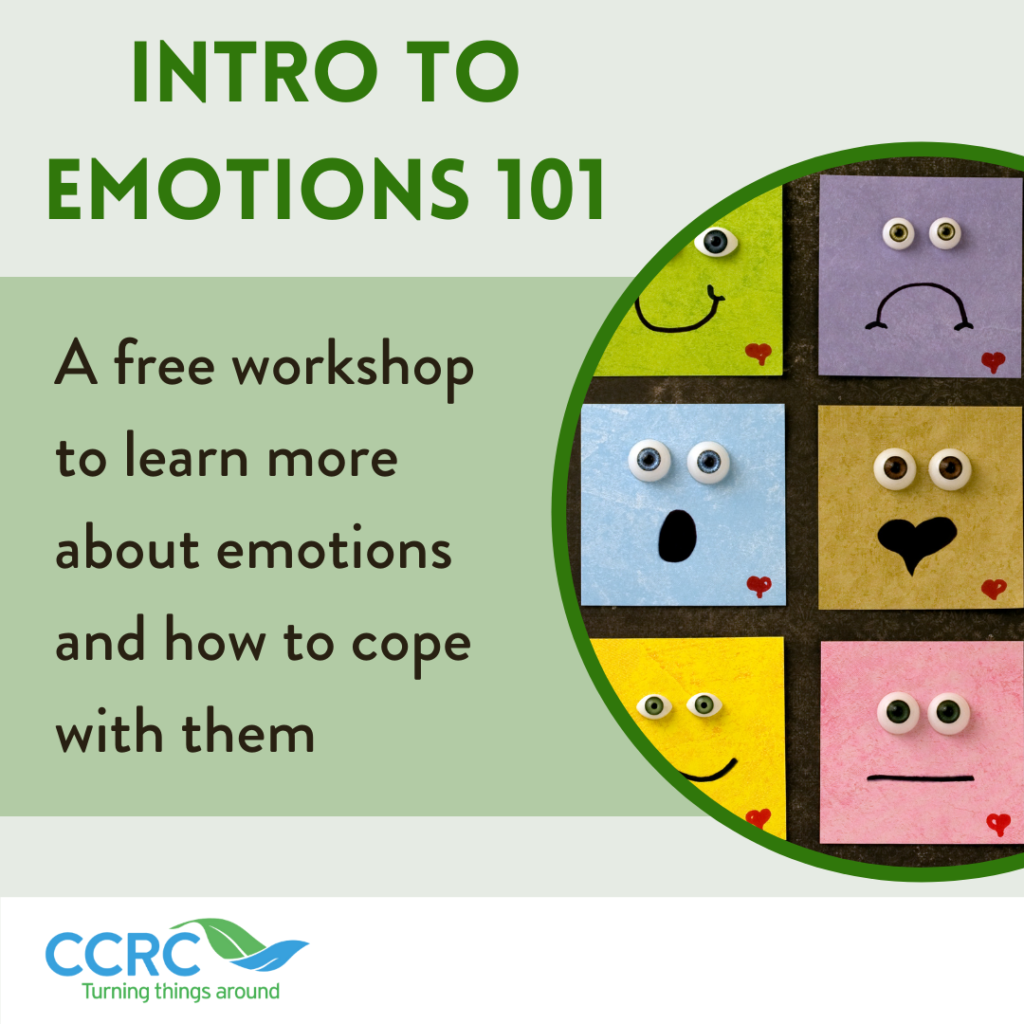 understanding-emotions-101-community-counselling-resource-centre